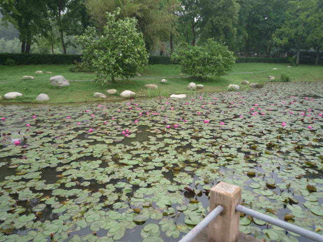 p1050142.jpg