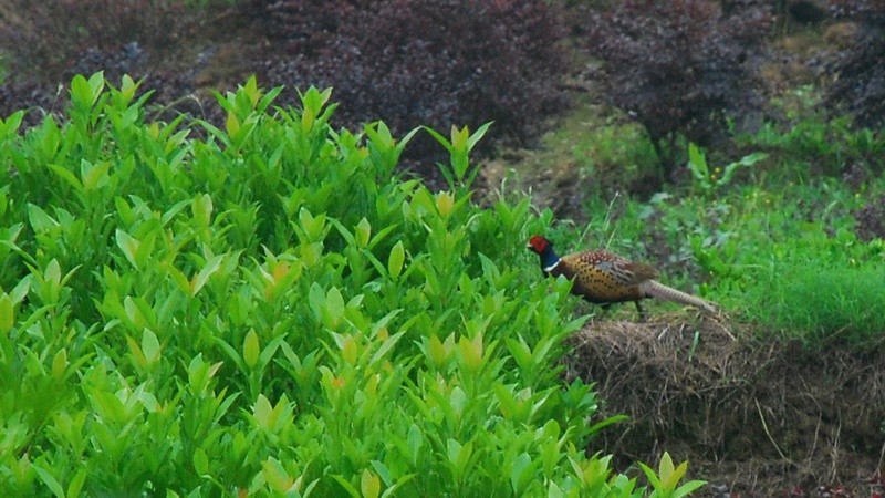 dsc_8114.jpg