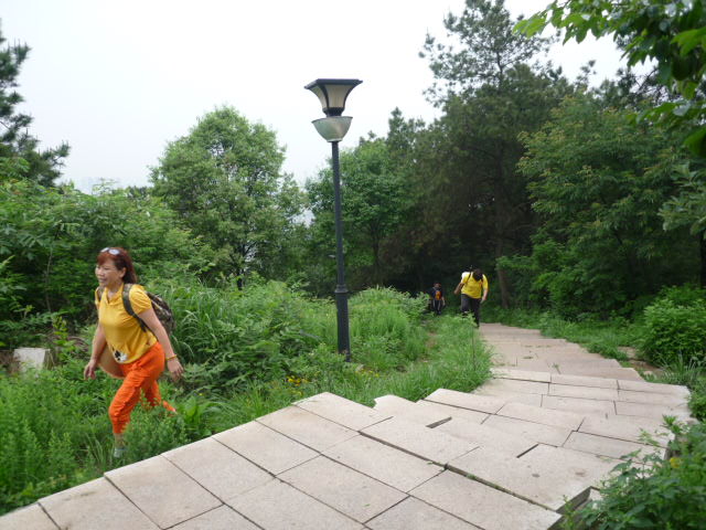27.jpg