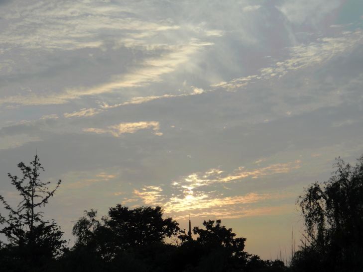 dsc09810.jpg