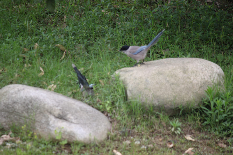 img_7773.jpg
