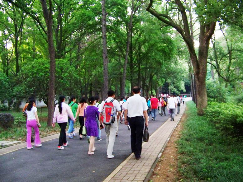 neo_img_100_6909.jpg