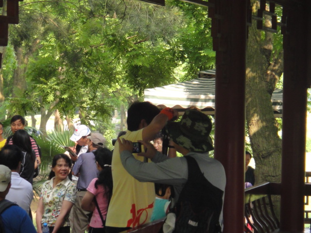 dsc03325.jpg
