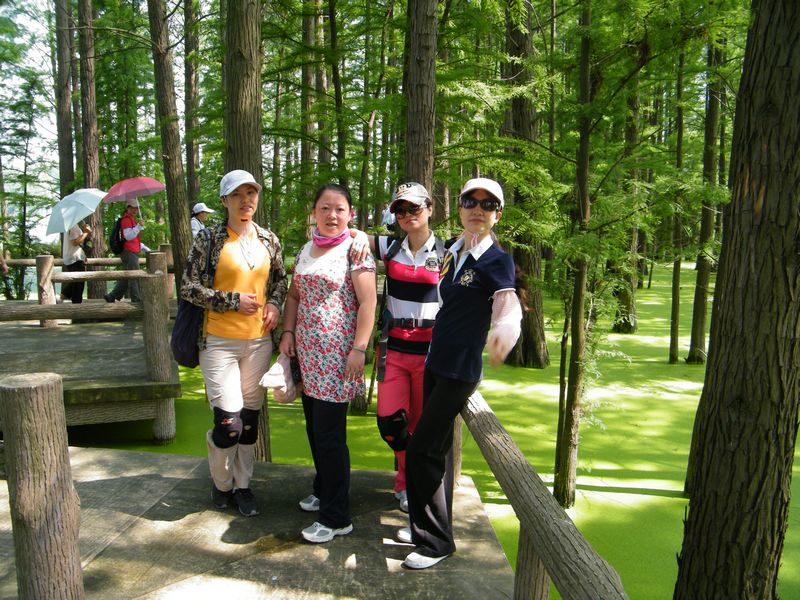 dscf6990.jpg