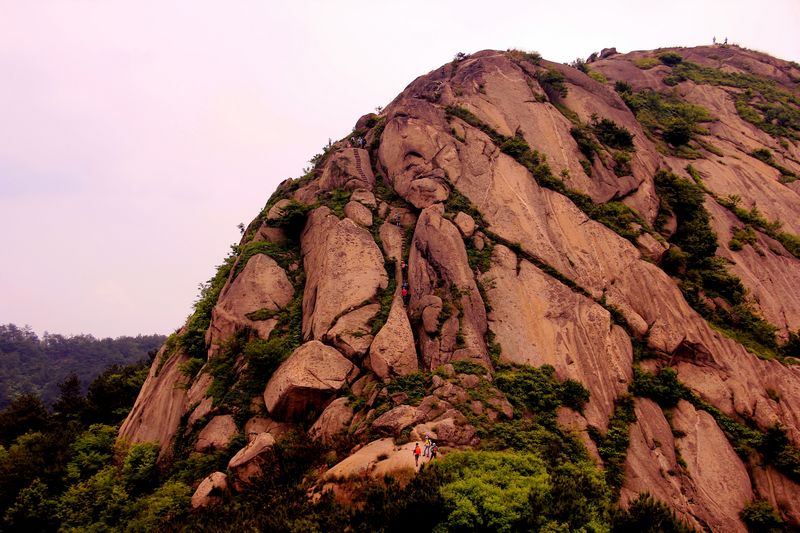 _mg_9844.jpg