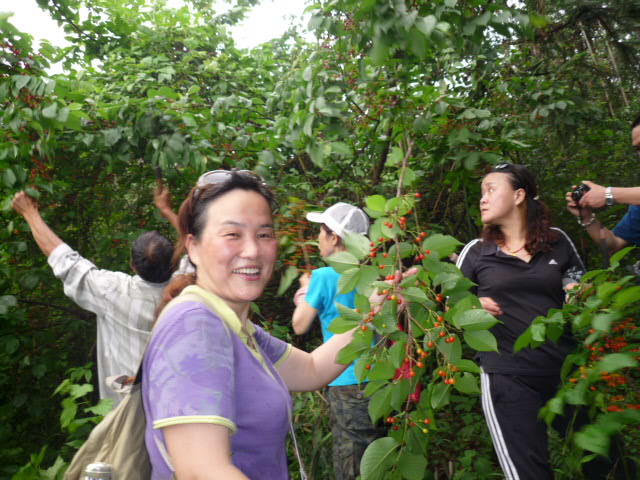 p1060820.jpg