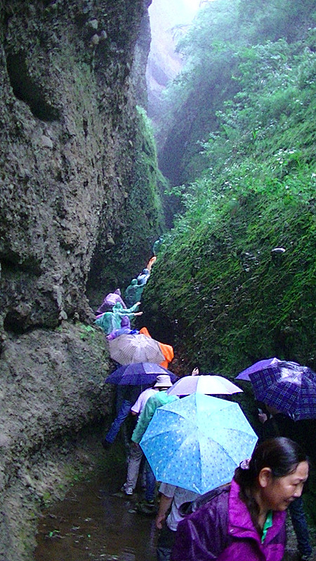 pic_0095_.jpg