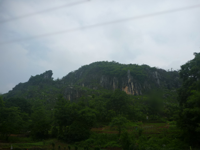 p1110579_.jpg
