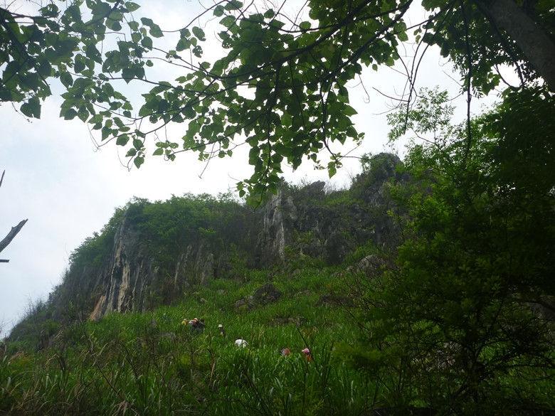 p1110581_.jpg