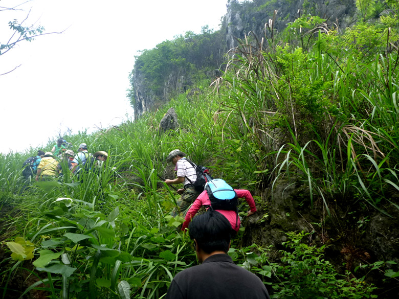 p1110585_.jpg