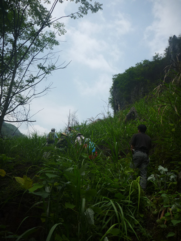p1110587_.jpg