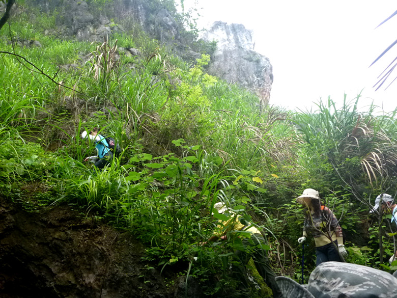 p1110582_.jpg