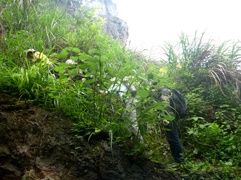 p1110584_.jpg