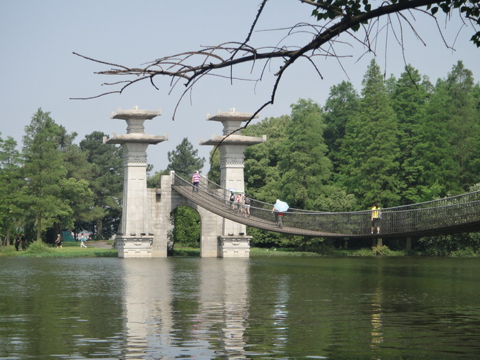459-24.jpg