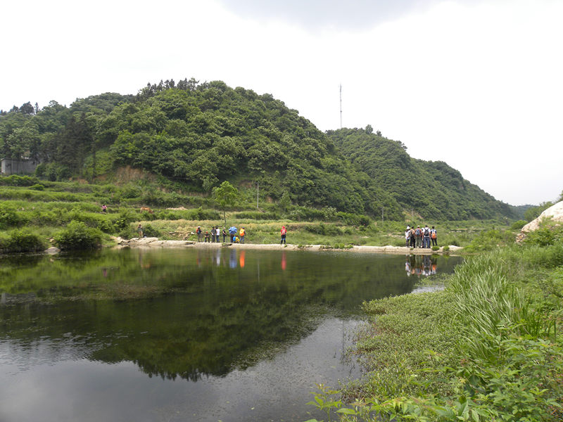 dscn9267_.jpg