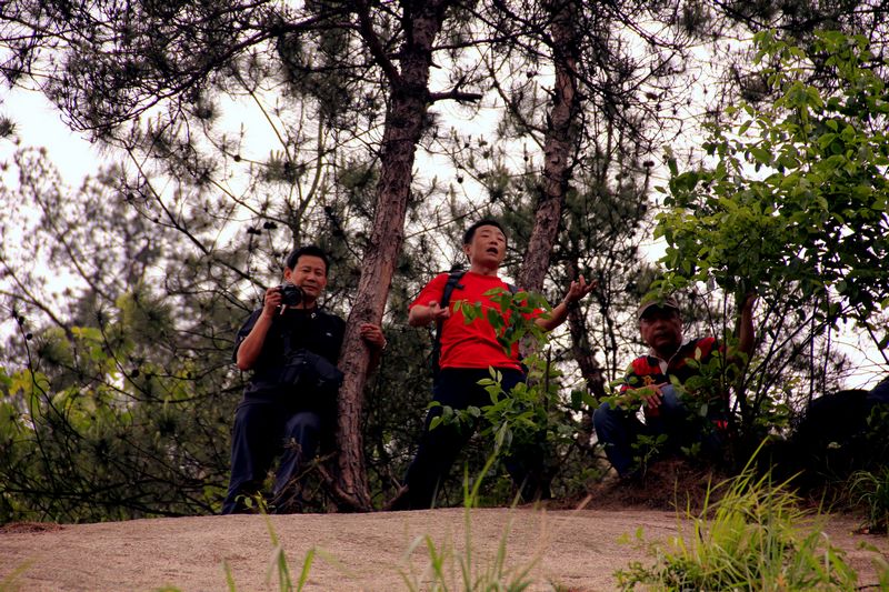 _mg_9599.jpg
