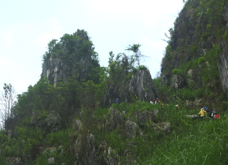 p1110591_.jpg