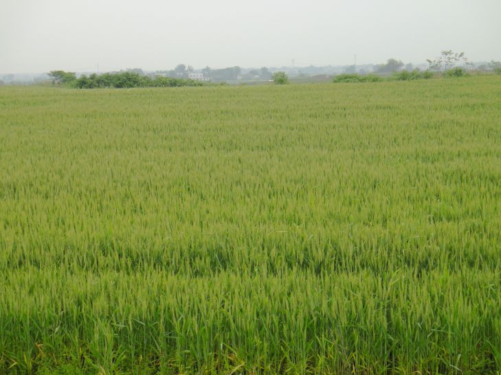 dsc08452.jpg