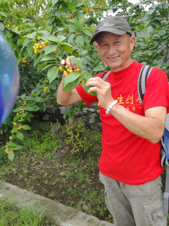 dsc08490.jpg