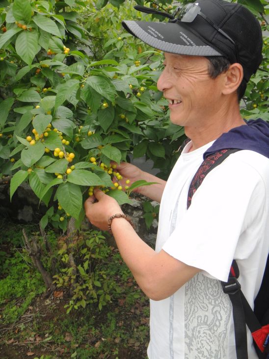 dsc08488.jpg