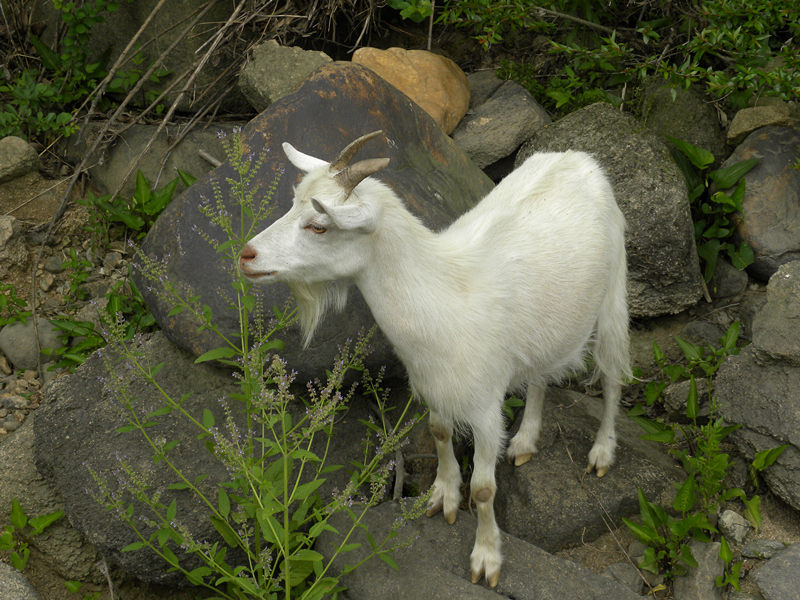 dscn9290_.jpg