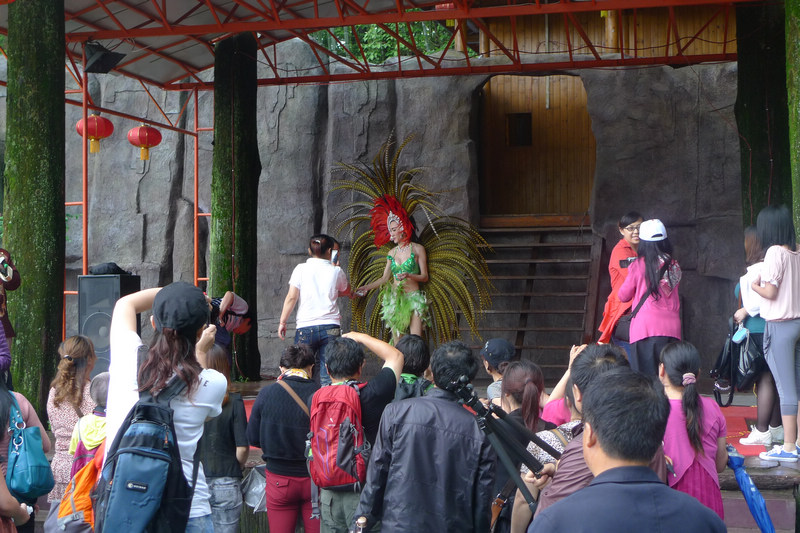 p1090079.jpg