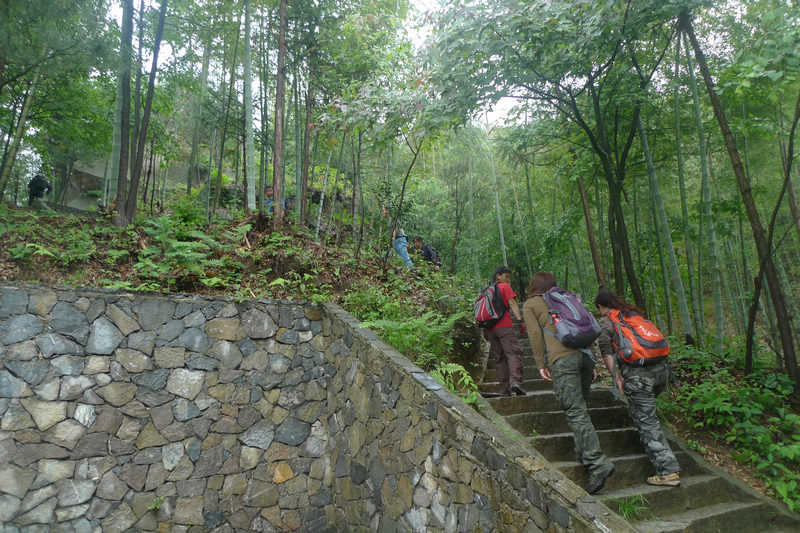 p1090083.jpg
