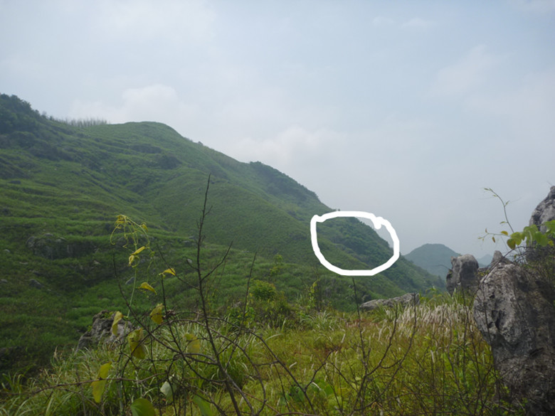p1110617_.jpg