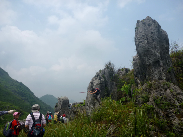 p1110603_.jpg