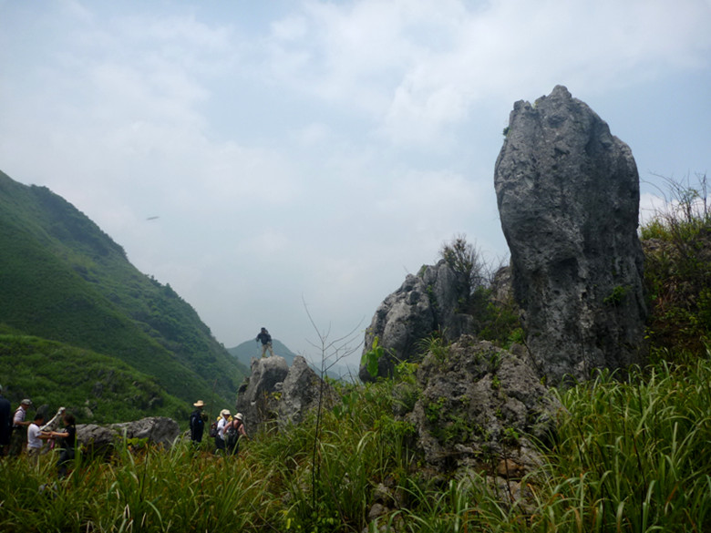p1110607_.jpg