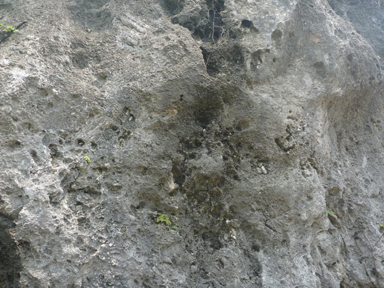 p1110608_.jpg