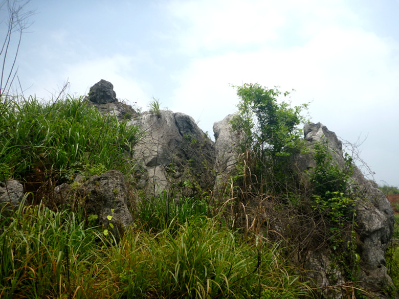 p1110615_.jpg
