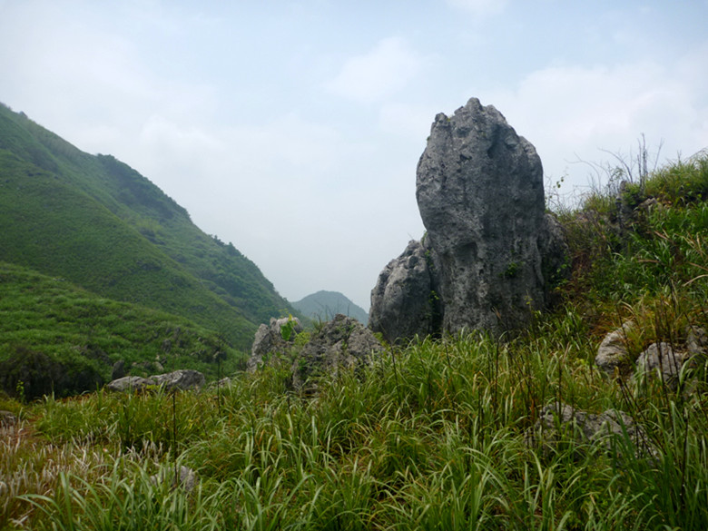 p1110613_.jpg