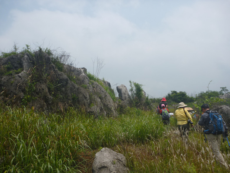 p1110612_.jpg
