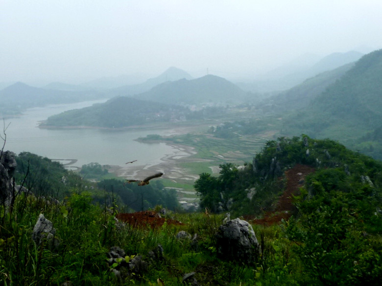 p1110628_.jpg