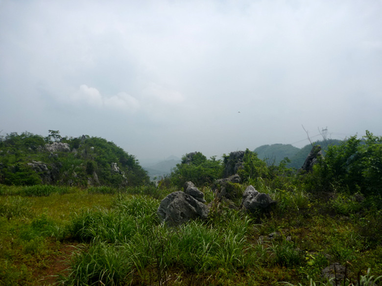 p1110614_.jpg