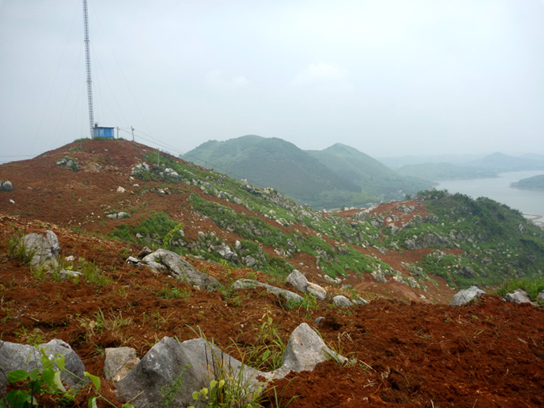 p1110630_.jpg