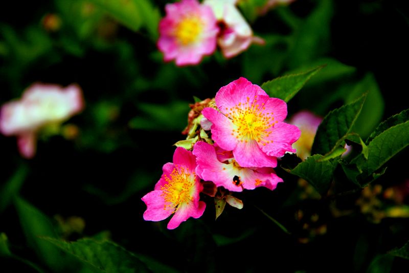 _mg_9963.jpg