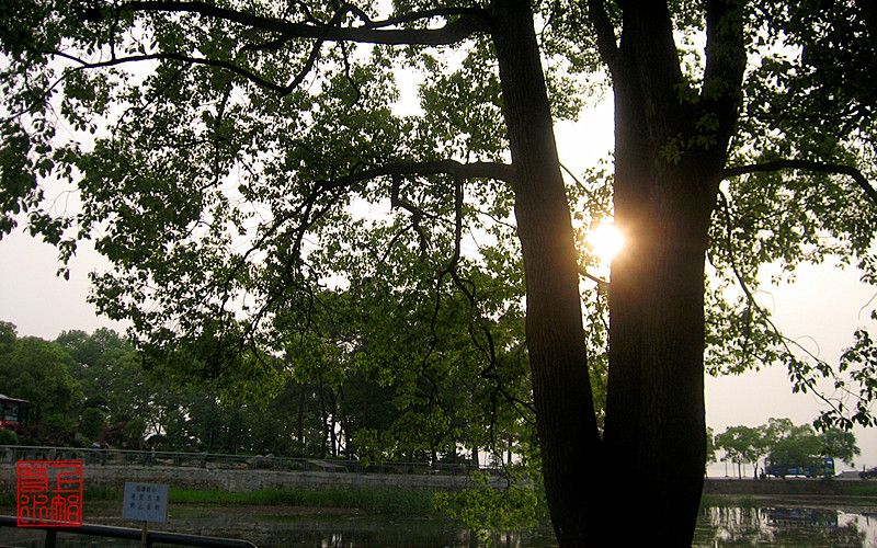 img_0836_1.jpg