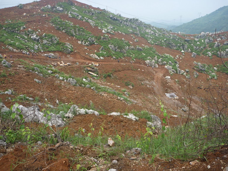 p1110644_.jpg