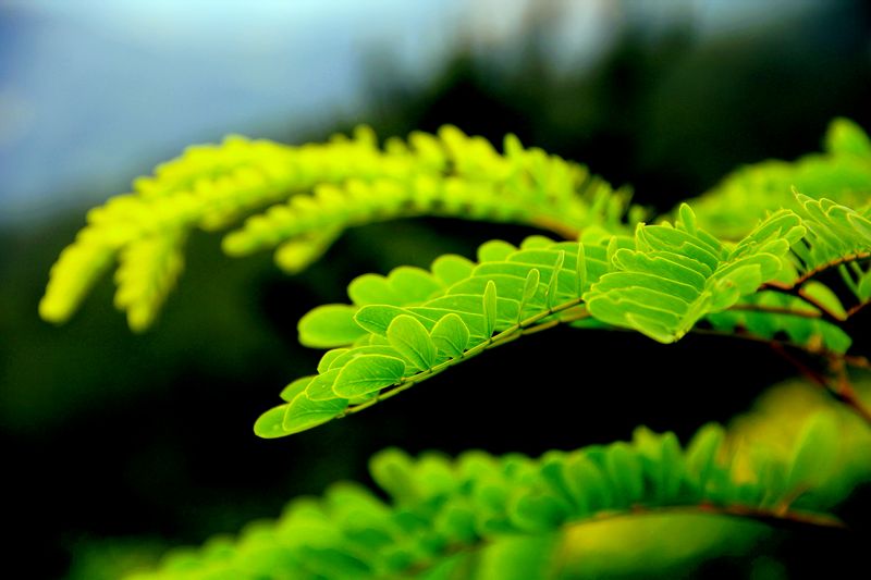 _mg_0054.jpg