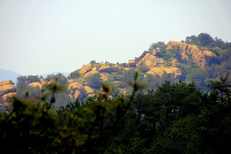 _mg_0118.jpg