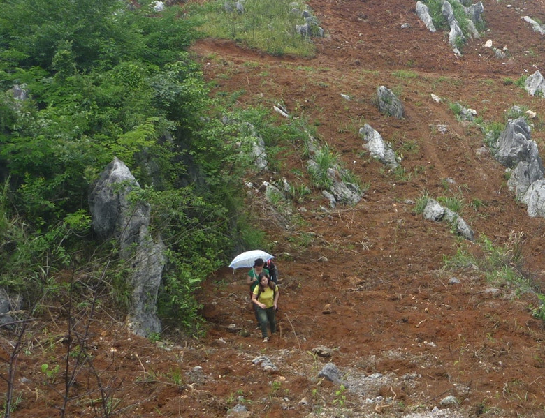 p1110637_.jpg