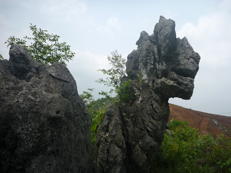 p1110640_.jpg