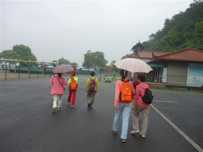 a15.jpg