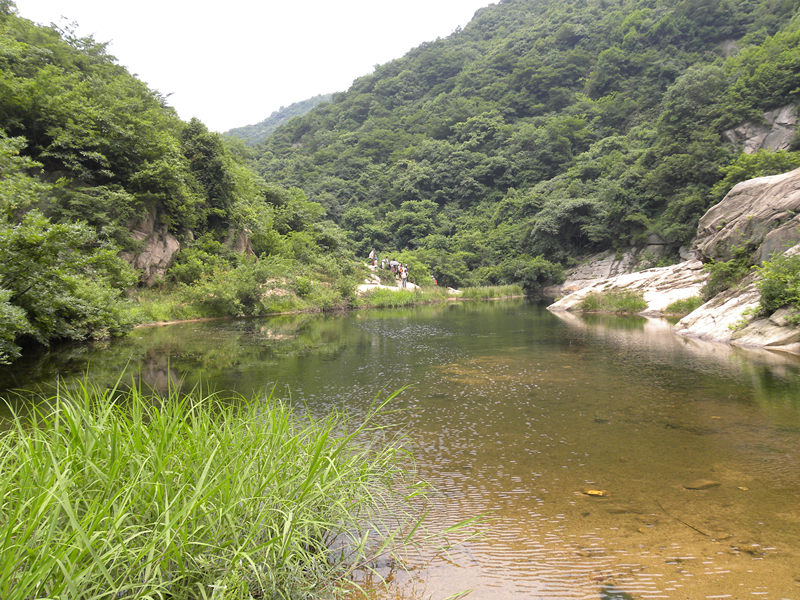 dscn9305_.jpg