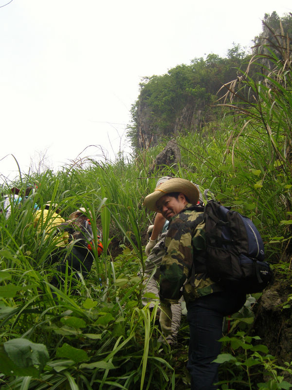  snc10003.jpg