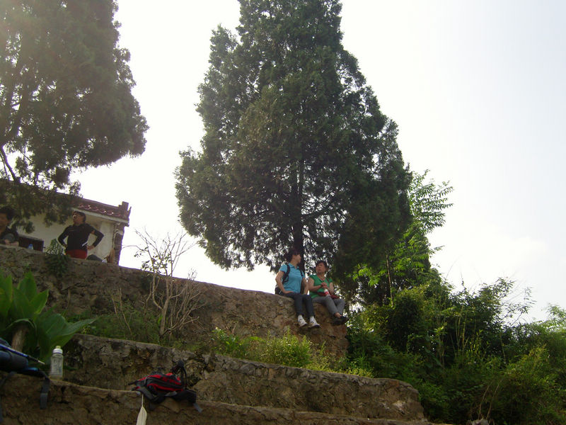  snc10091.jpg