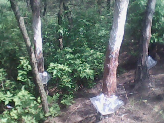 img0128a.jpg