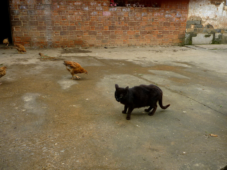 p1110656_.jpg